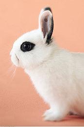 2D解谜冒险游戏《宇宙怪谈》Steam页面上线 发行日期待定